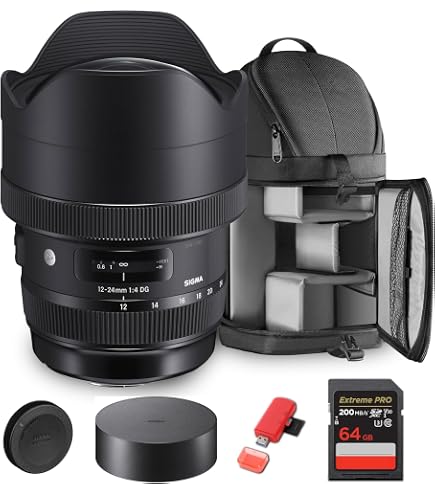 Amazon.com : Sigma 12-24mm f/4 DG HSM Art Lens for Sigma SA